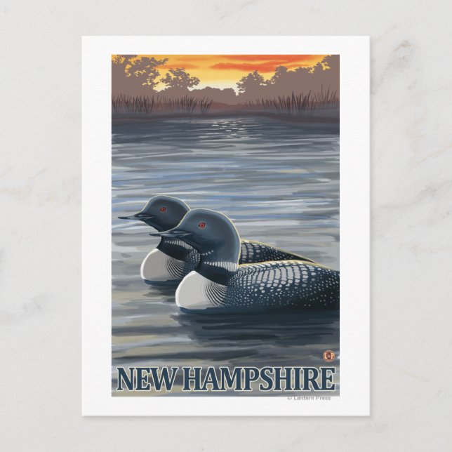New HampshireCommon Loon Postkarte (Vorderseite)