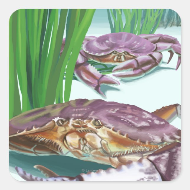 New HampshireCrab und Fisherman Quadratischer Aufkleber (Vorderseite)