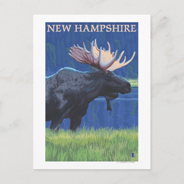 New HampshireElche im Mondschein Postkarte (Vorderseite)