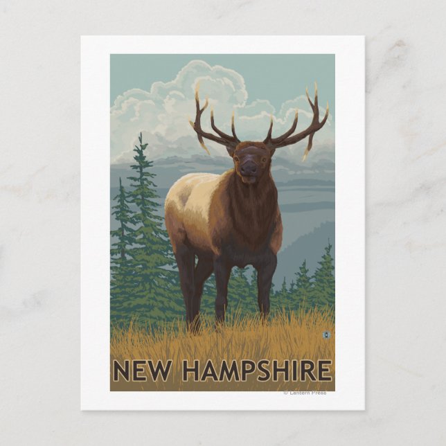 New HampshireElk Scene Postkarte (Vorderseite)
