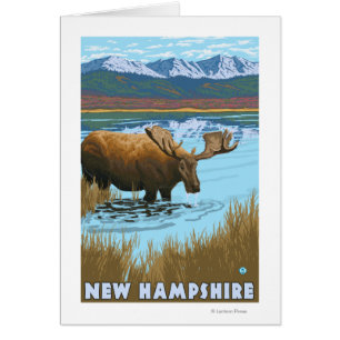 New HampshireMoose Boire dans le lac