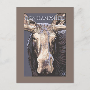 New HampshireMoose Up Nah Postkarte