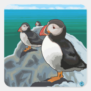 New HampshirePuffins Scene Quadratischer Aufkleber