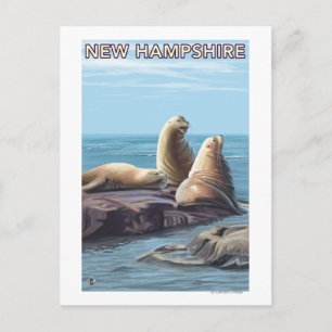 New HampshireSea Lions Scene Postkarte