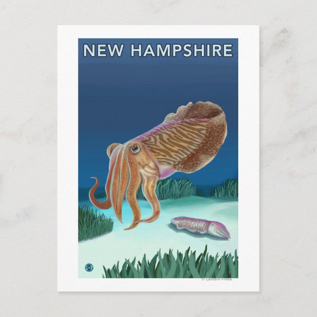 New HampshireTintenfischszene Postkarte (Vorderseite)