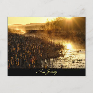 New Jersey Black River Chester Postcard Postkarte
