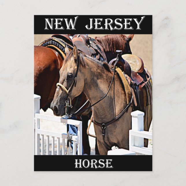 New Jersey Horse Postkarte (Vorderseite)