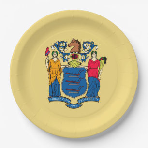 New-Jersey Staats-Flaggen-Entwurfs-Dekor Pappteller