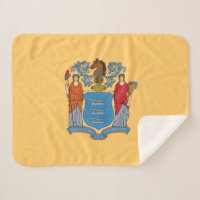 New Jersey State Flag