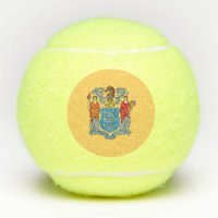 New Jersey State Flag