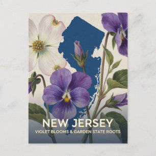 New Jersey Veilchen-Staatsblume Botanische Szene Postkarte