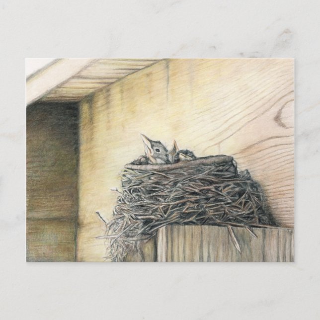 New Life Under Deck Robinson New Orleans Club Postkarte (Vorderseite)