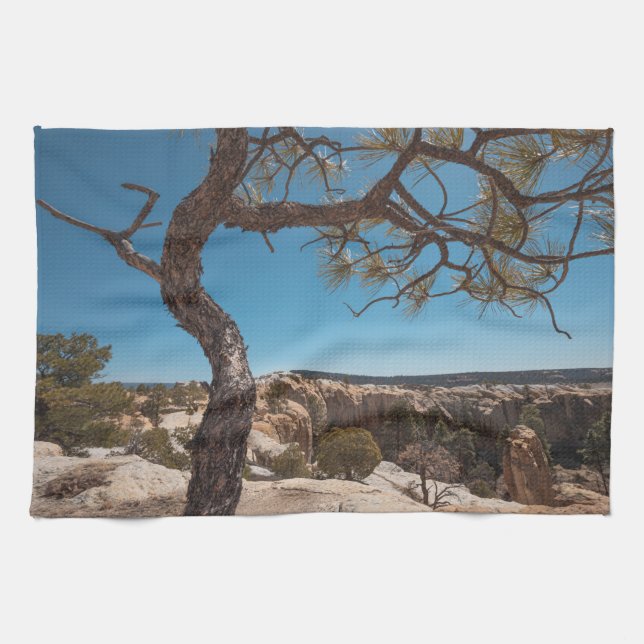New Mexico Landscape Foto Geschirrtuch (Horizontal)
