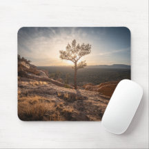 New Mexico Landscape Foto