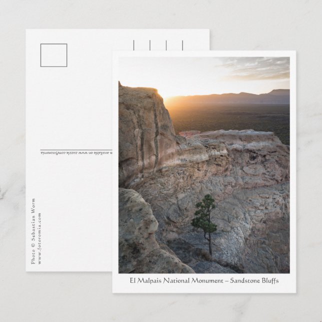 New Mexico Landscape Foto Postkarte (Vorne/Hinten)