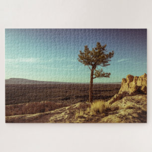 New Mexico Landschaft