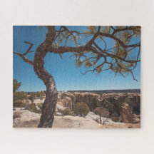 New Mexico Landschaftsfotografie