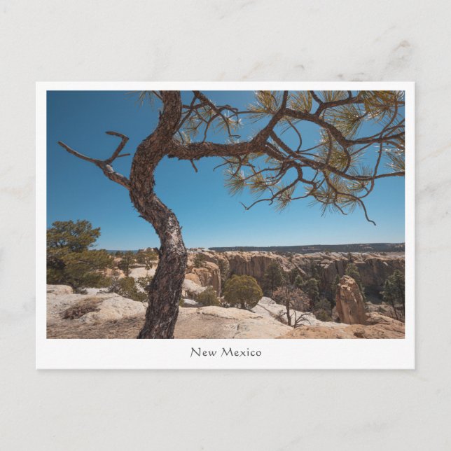 New Mexico Landschaftsfotografie Postkarte (Vorderseite)