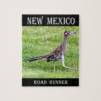 New Mexico Roadrunner