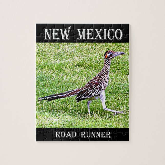 New Mexico Roadrunner (Vertikal)