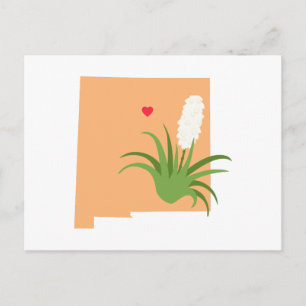 New Mexico Staat Postkarte