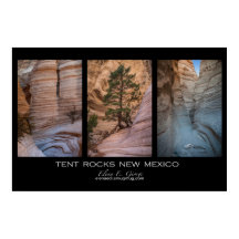 New Mexico Zent Rocks