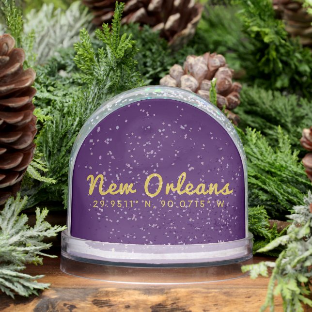 New Orleans Coordinates (Hiver)