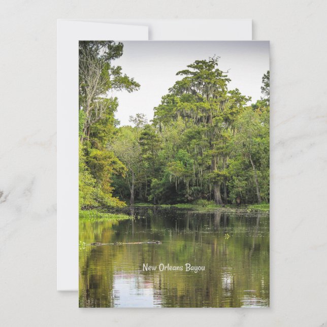 New Orleans, Louisiana, bayou, Karte (Vorderseite)