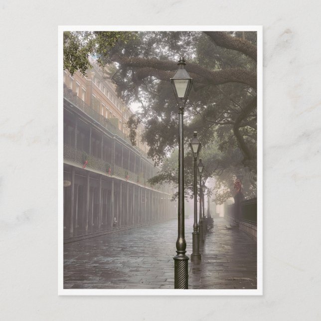 New Orleans, Louisiana Postcard Postkarte (Vorderseite)