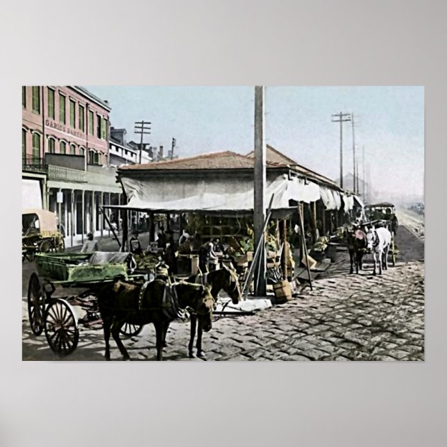 New Orleans, Louisiana Poster (Vorne)