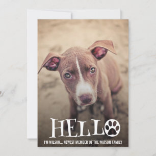 NEW PET ADOPTION ANNOUNCEMENT PHOTO INVITE EINLADUNG