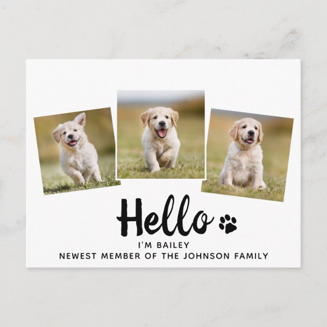 New Pet Foto Hello Puppy Dog Einladung (Vorderseite)