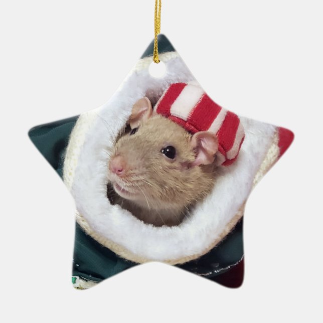 NEW!  Pet Rat Coco Ornament (Vorne)