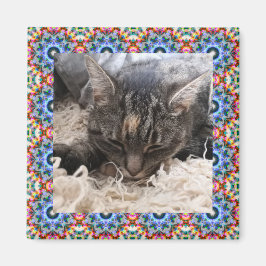 New Pet Red and Blue Christmas Star Square Frame Magnet