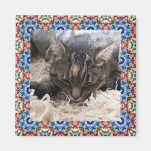 New Pet Red and Blue Christmas Star Square Frame Magnet