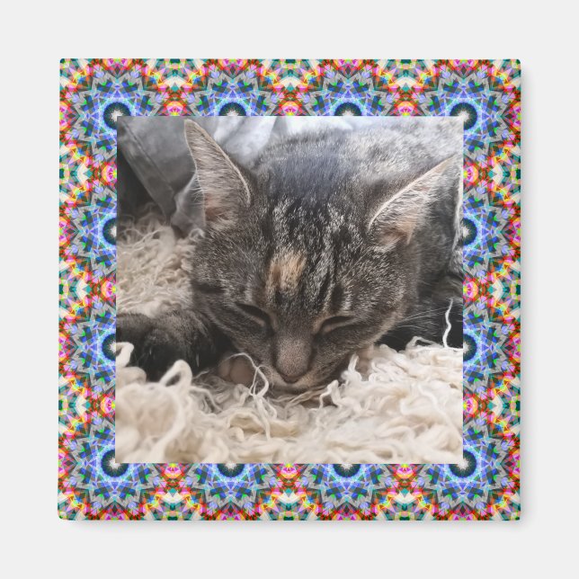 New Pet Red and Blue Christmas Star Square Frame Magnet (Vorne)