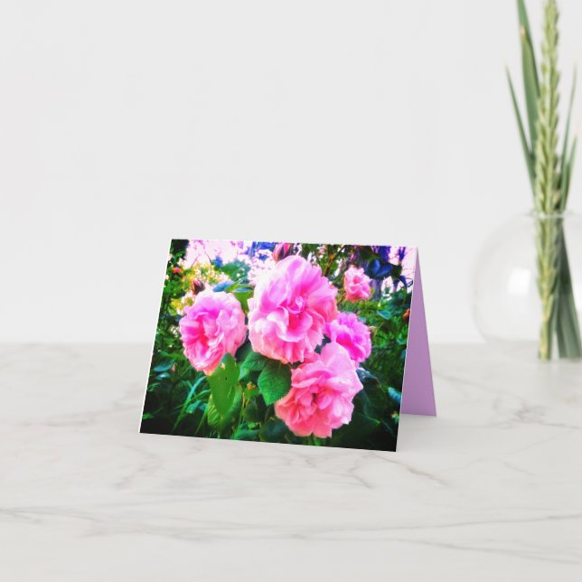 NEW! PINK ROSES GREETING CARD KARTE (Vorderseite)
