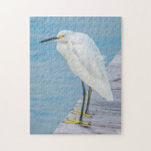 New Smyrna Beach, Schneiereiher auf Steg