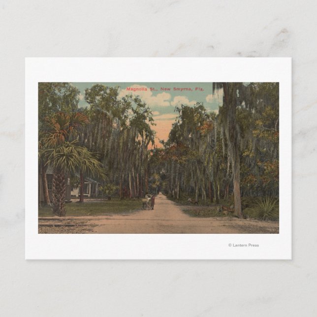 New Smyrna, Florida - Blick auf Magnolien Postkarte (Vorderseite)