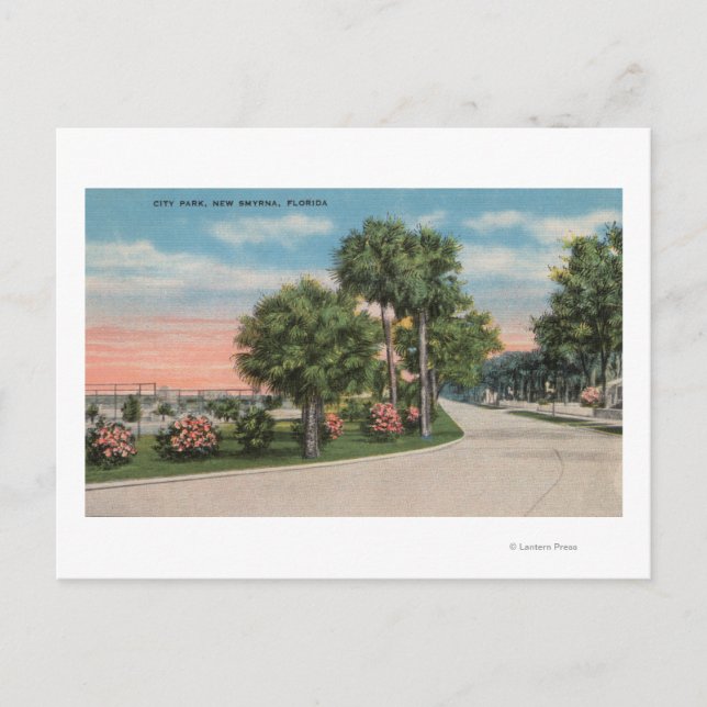 New Smyrna, Florida - Street View City Park Postkarte (Vorderseite)