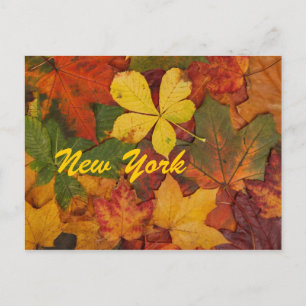 New York Automne Feuilles Carte postale