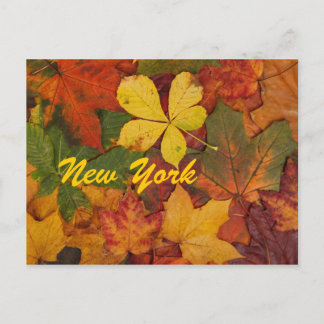 New York Autumn Leaves Postcard Postkarte