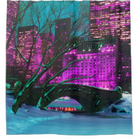New York City Central Park Winterlandschaft