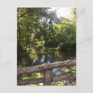 New York City NYC Central Park Trees Water Foto Postkarte