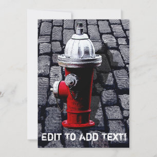 New York Fire Hydrant Illustration