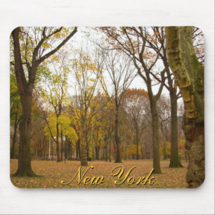 New York Mauspad Central Park New York Geschenke