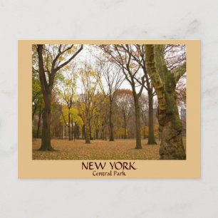 New York Postkarten NYC Central Park Postkarten