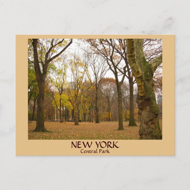 New York Postkarten NYC Central Park Postkarten (Vorderseite)