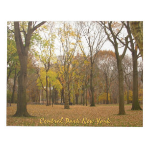 New York Souvenir Notepad Central Park NYC Geschen Notizblock