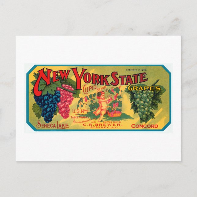 New York Staat Grapes Postkarte (Vorderseite)